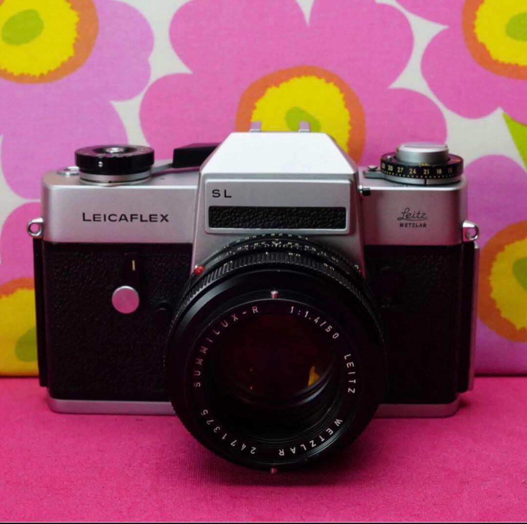 名玉ズミルクス50mm f1.4& LEICAFLEX SL❤️フィルムカメラ名機