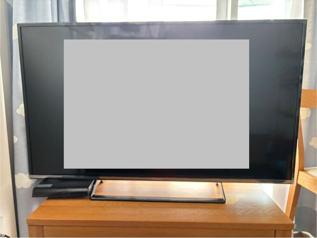 ちゃんミウ　Panasonic TH-49DX600 49インチ液晶テレビ