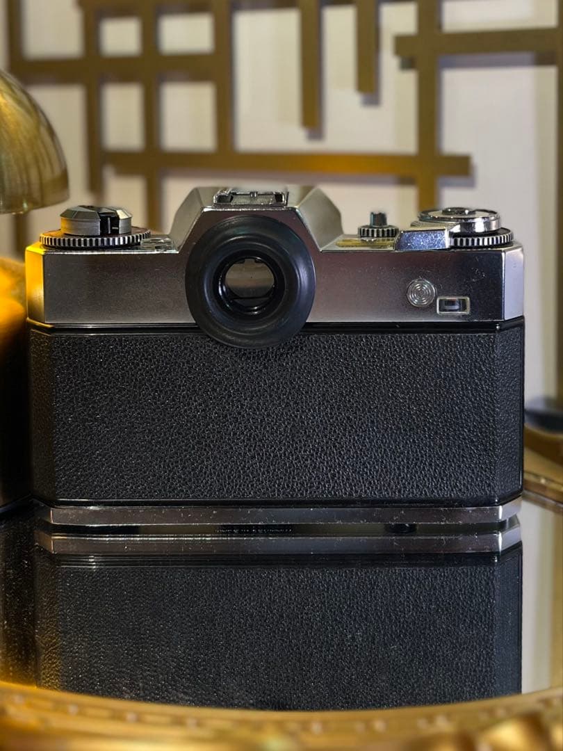 ZEISS IKON icarex 35S ＋Tessar50/2.8＋革ケース