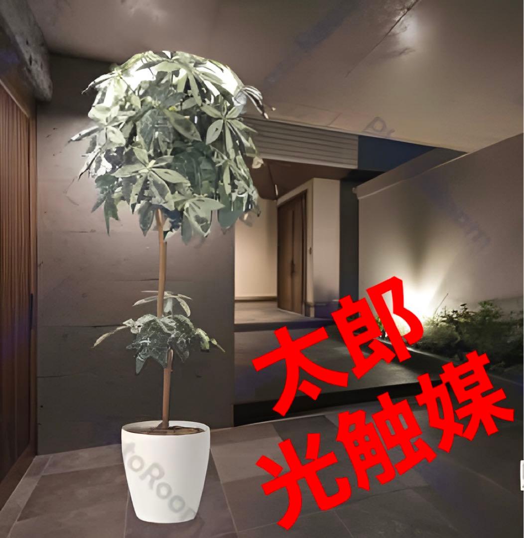 光触媒　人工観葉植物　ウォールグリーン　フェイクグリーン　ミルキーパキラ1.6