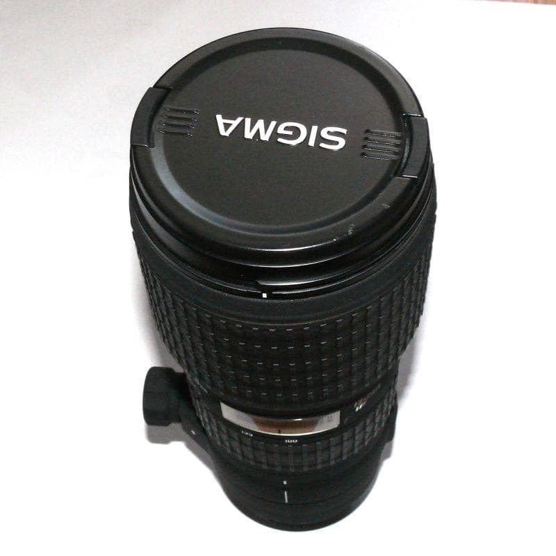 SIGMA AF 100-300mm F4 APO EX IF HSM ニコンF