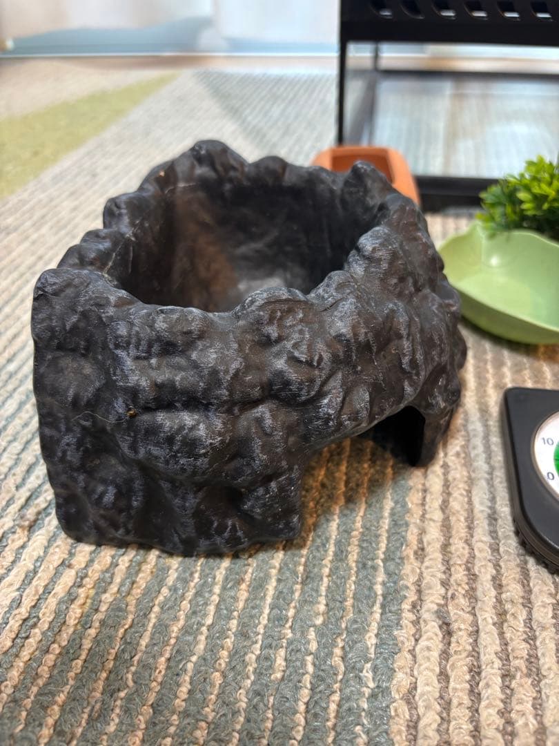 GEX EXOTERRA グラステラリウム3030 飼育ゲージ ガラスケース