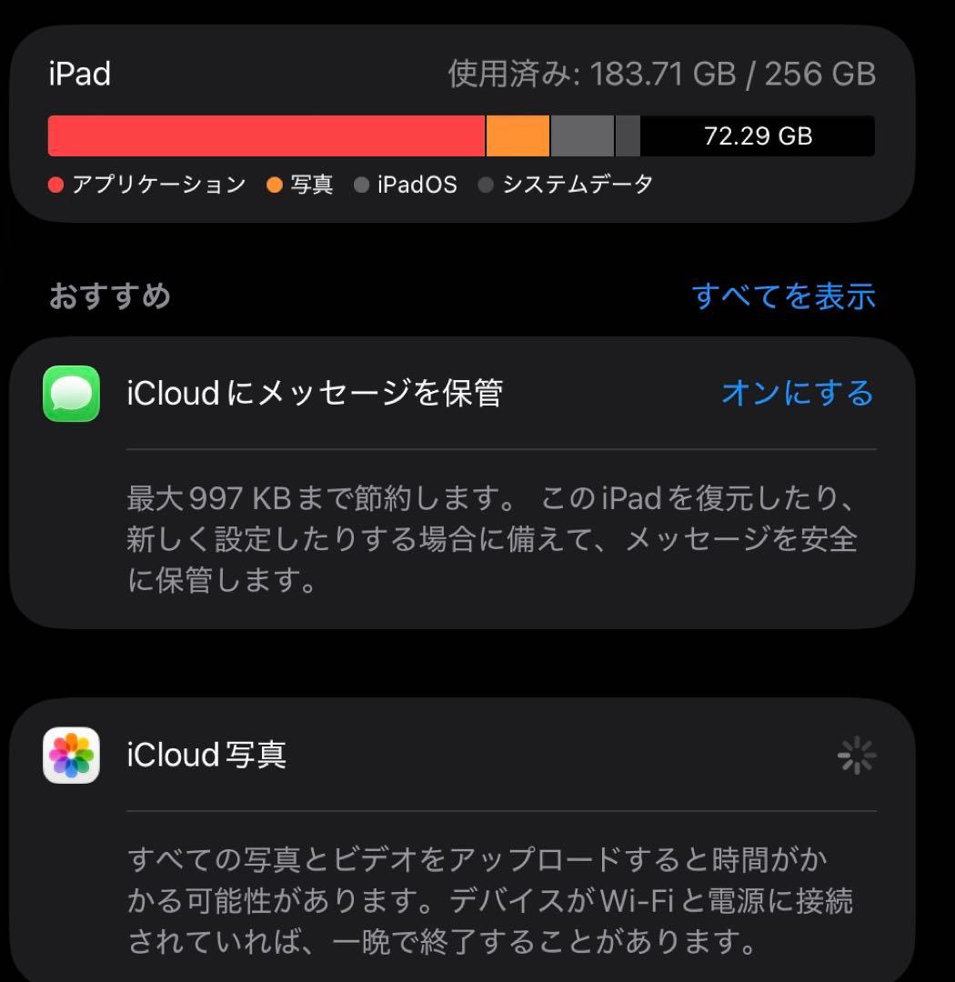 iPad Pro (M4) 11インチ (256GB Wi-Fiモデル)