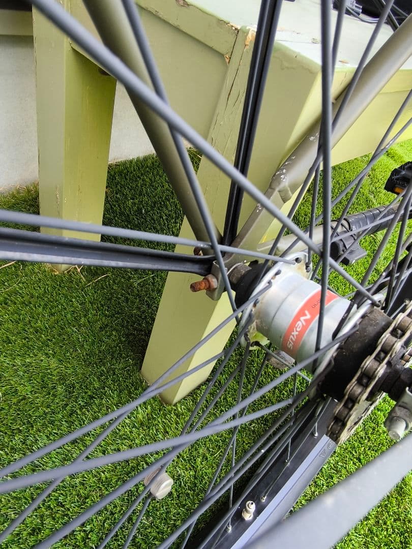 世界中でも超激レア the PARKビーチクルーザー 電動 自転車 グリーン