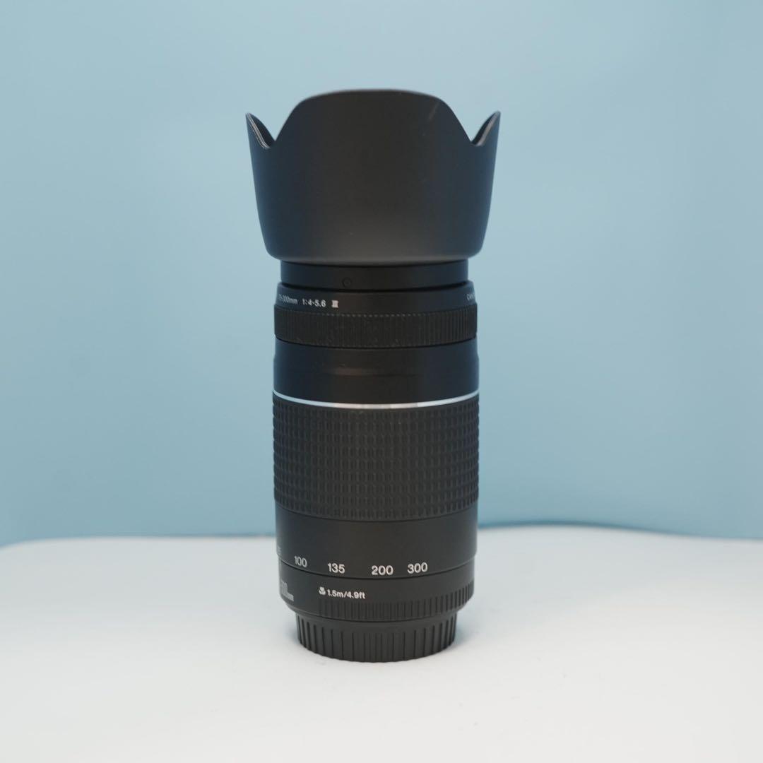 Canon純正 75-300mm 望遠レンズ 極美品 a4184