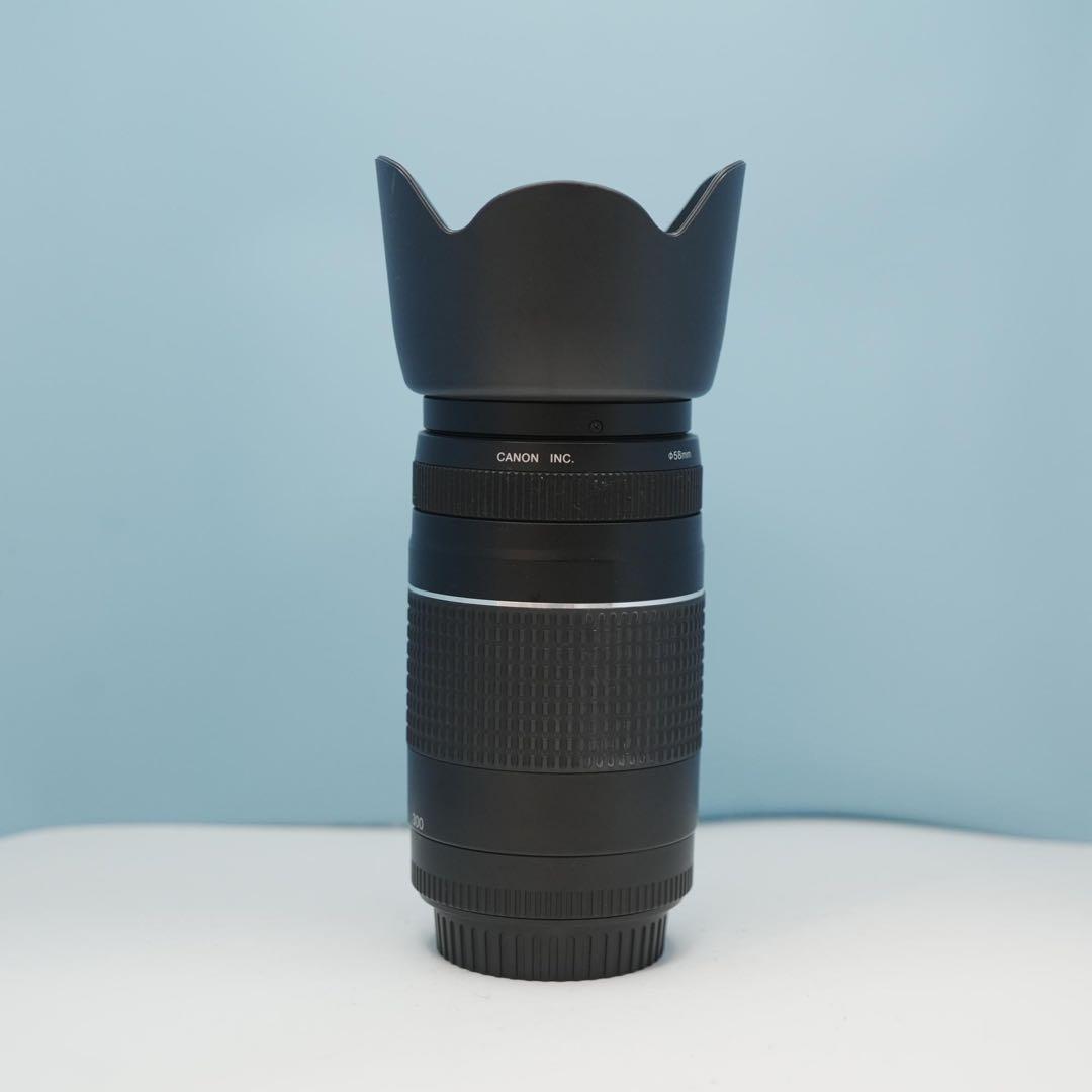 Canon純正 75-300mm 望遠レンズ 極美品 a4184