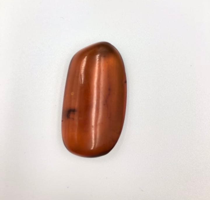 虫琥珀 虫入り アンバー  こはく 天然 ユニーク 天然石 虫入り