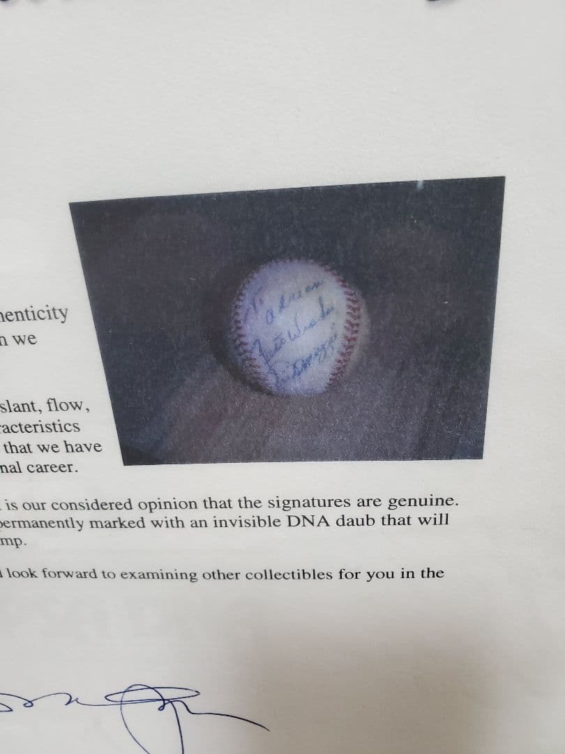 【超希少】★ジョー・ディマジオ直筆サインボール(ヤンキース)★