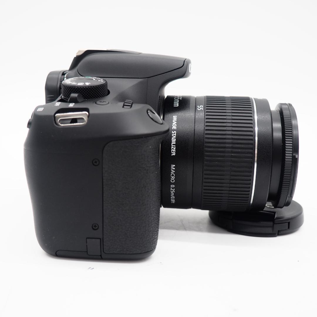 【ショット数824回！】Canon EOS Kiss X80 デジタル一眼