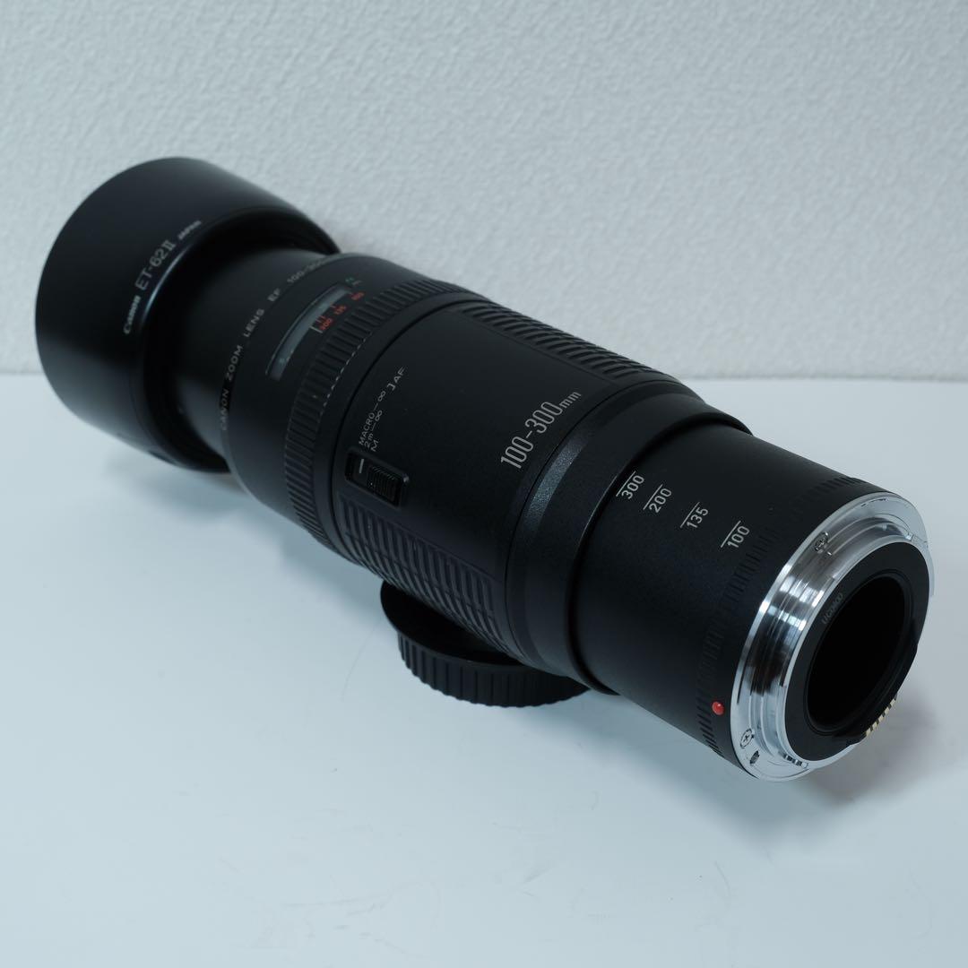 Canon EF 100-300mm F5.6 レンズ