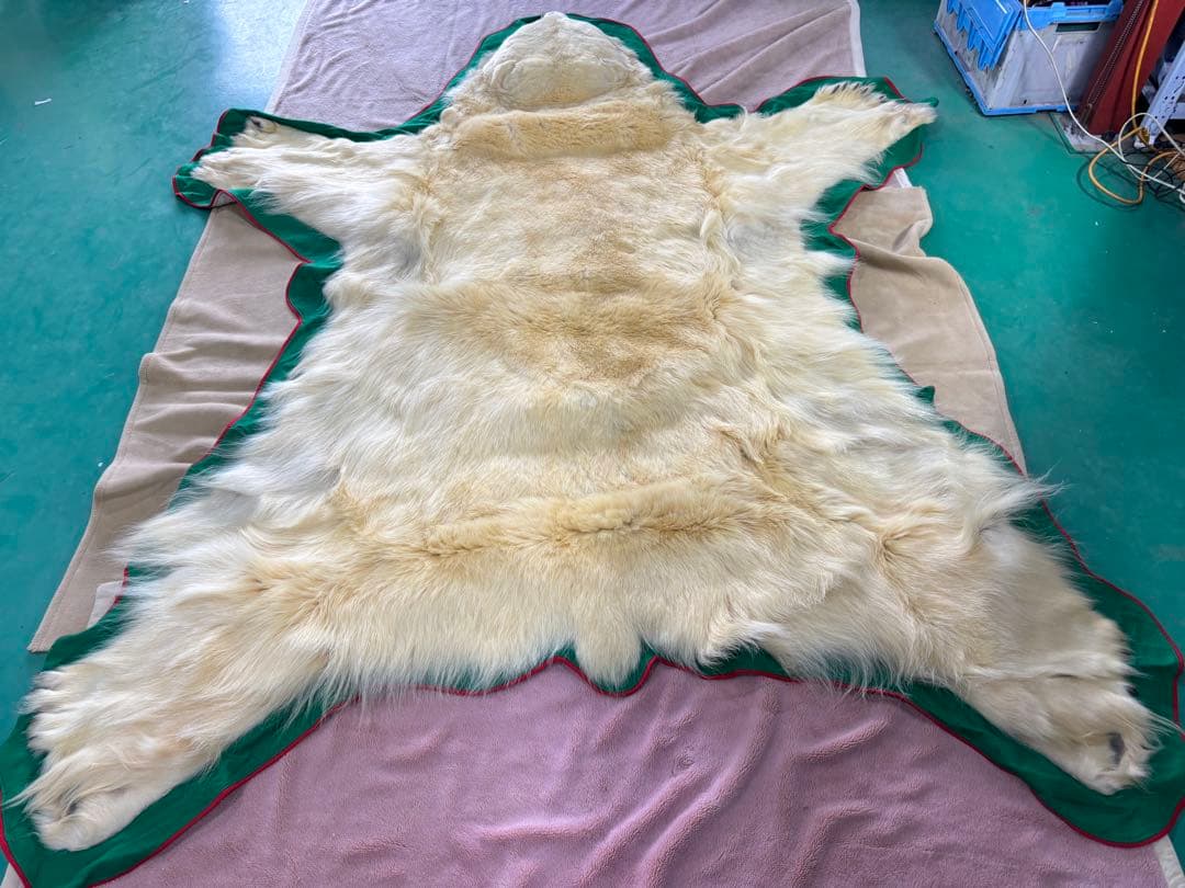 白熊　ホッキョクグマ　剥製　毛皮　マット