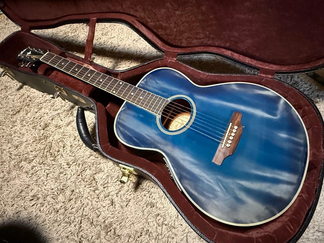 Martin & Co. 黒いレザーギターケース