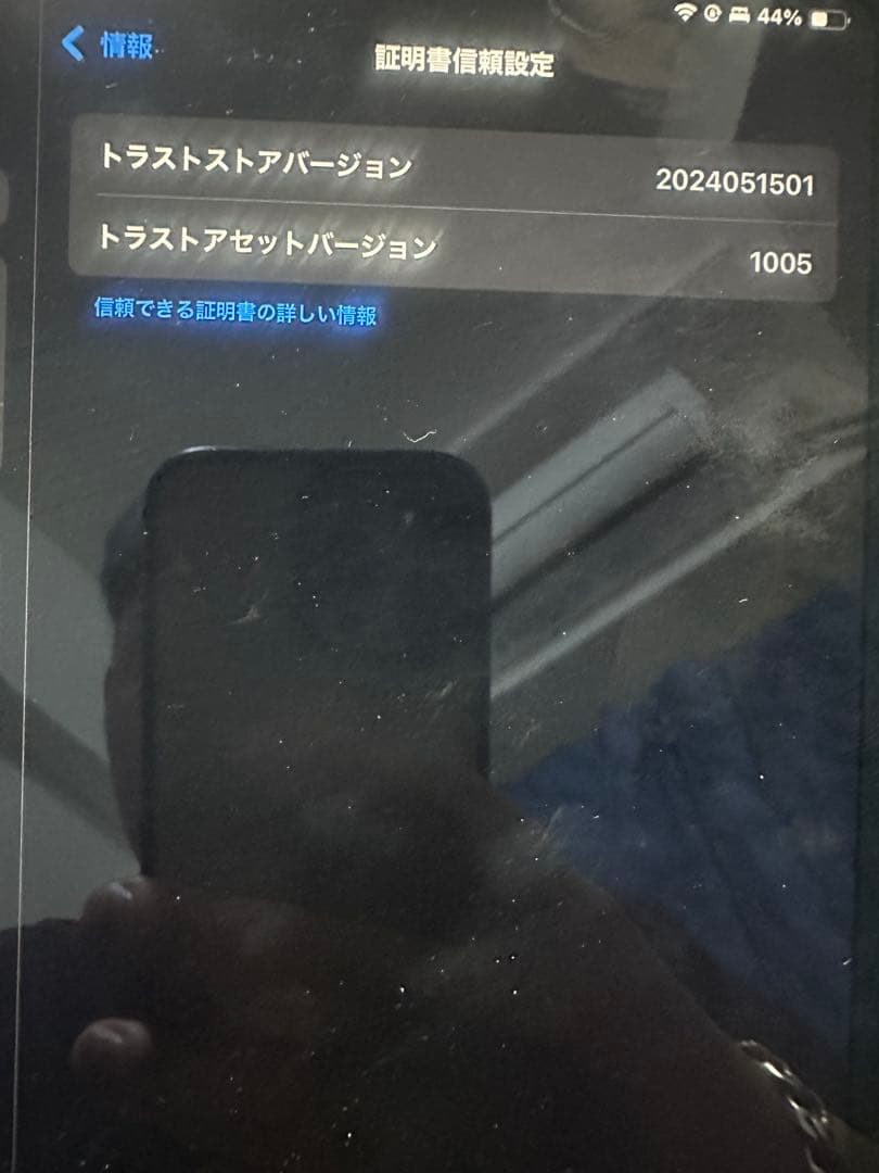 m*a様 iPad Pro (11インチ) Wi-Fi 128GB第4世代