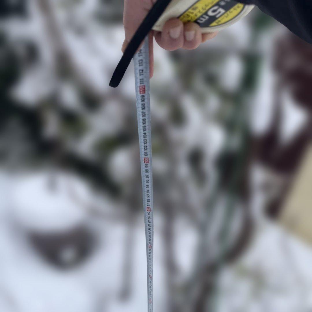 ✳バイオチェリー✳かなりレア物✳、プラム ネスレー２点セット