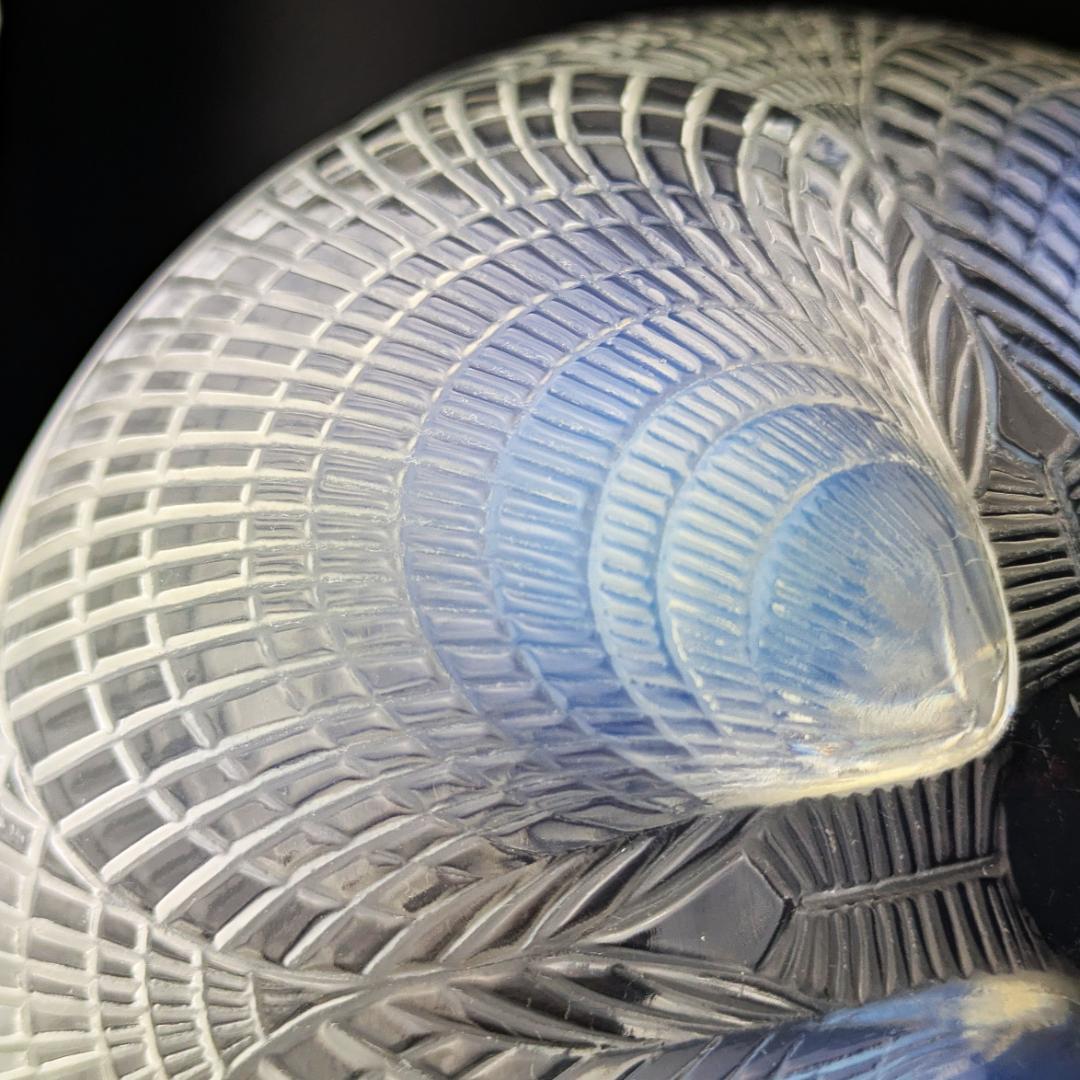 【光の表情】1924年ルネ・ラリック コキーユ 19㎝大鉢オパルセントアールデコ