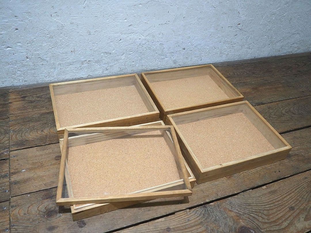 1389 ①蓋付 レトロな標本ケース(小)4個セット　ガラスケース　コレクション