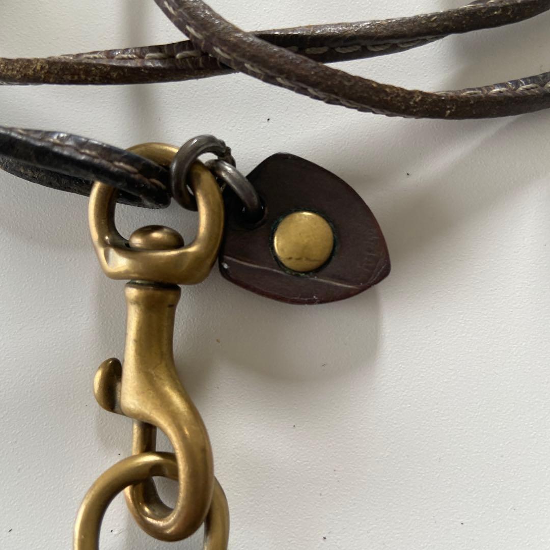 フェリージ パスケース IDケース 定期入れ クロコ型押し Felisi