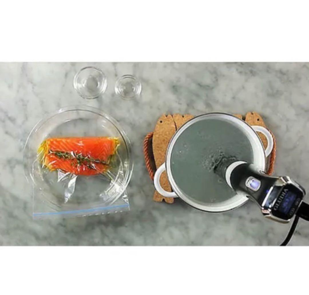 ★未開封GLU-INM01 低温調理器 GLUDIA ブラック