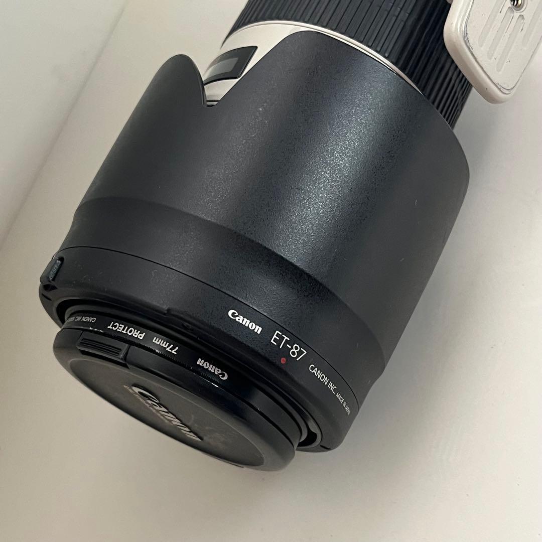 Canon EF 70-200mm f/2.8L IS II USM キャノン