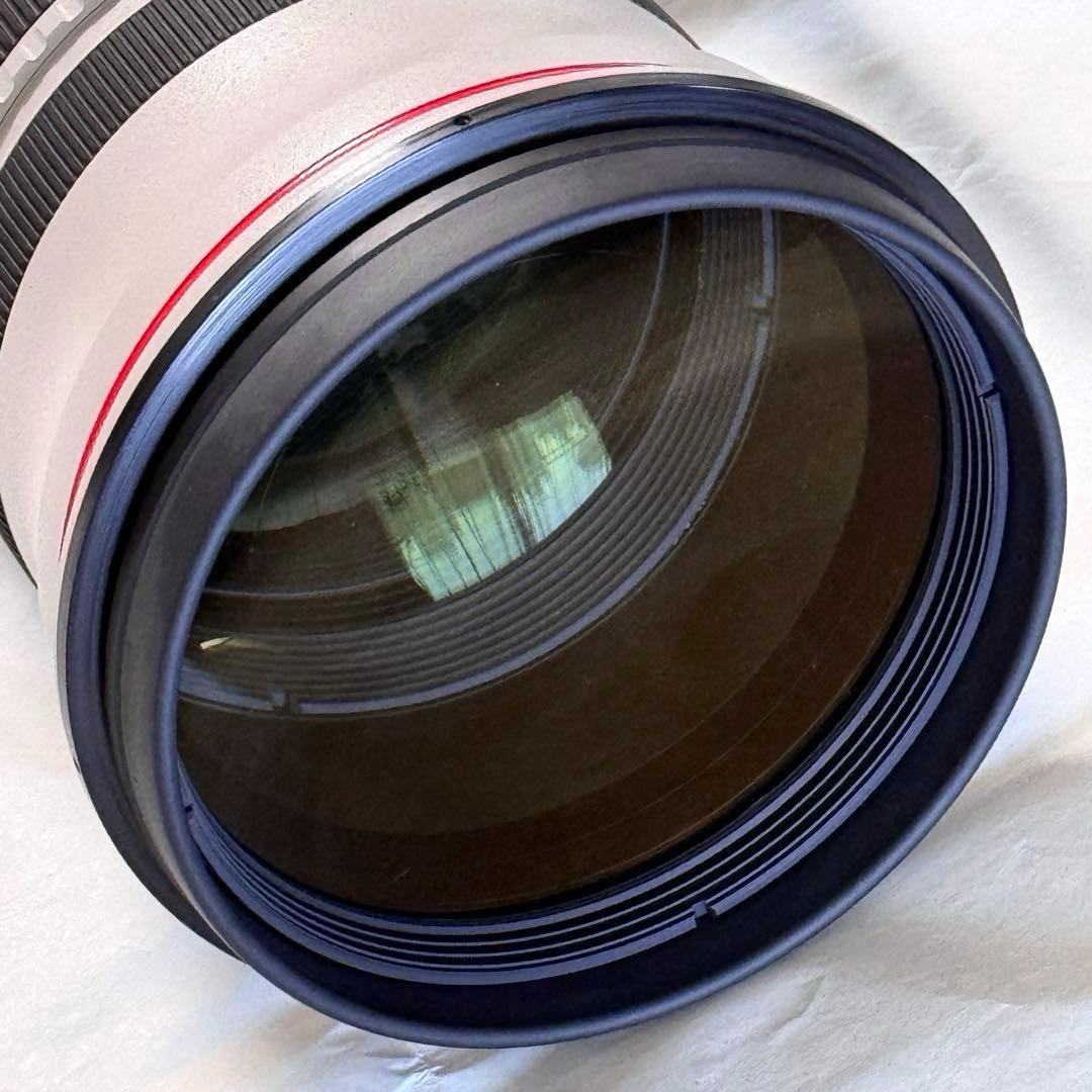 キャノン大口径単焦点レンズ EF500mm F4L IS II USM