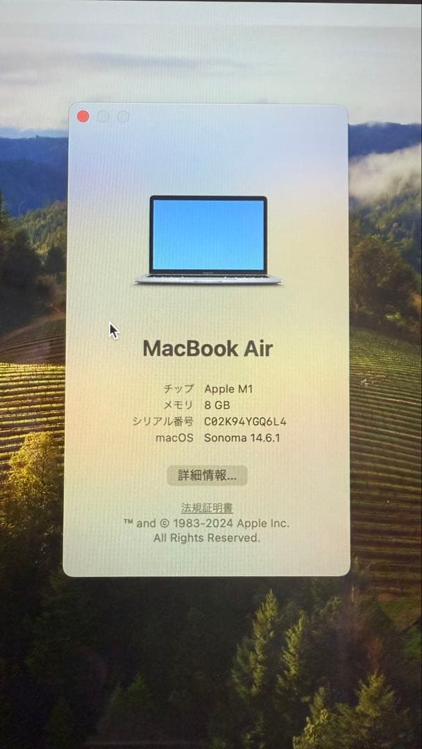 MacBook本体 Apple MacBook Air 2020 M1 13inch 256SSD