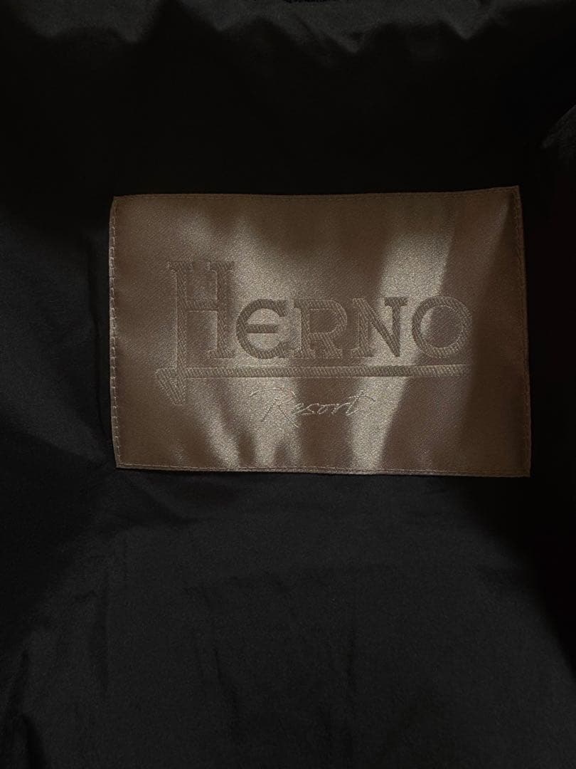 美品　HERNO ヘルノ　ネイビー フード　ダウンジャケット　48