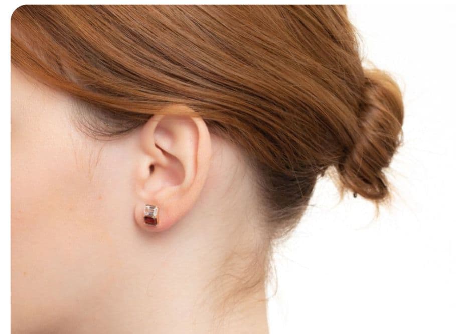 専用☆ヒロタカ　BIRD OF PARADISE ピアス