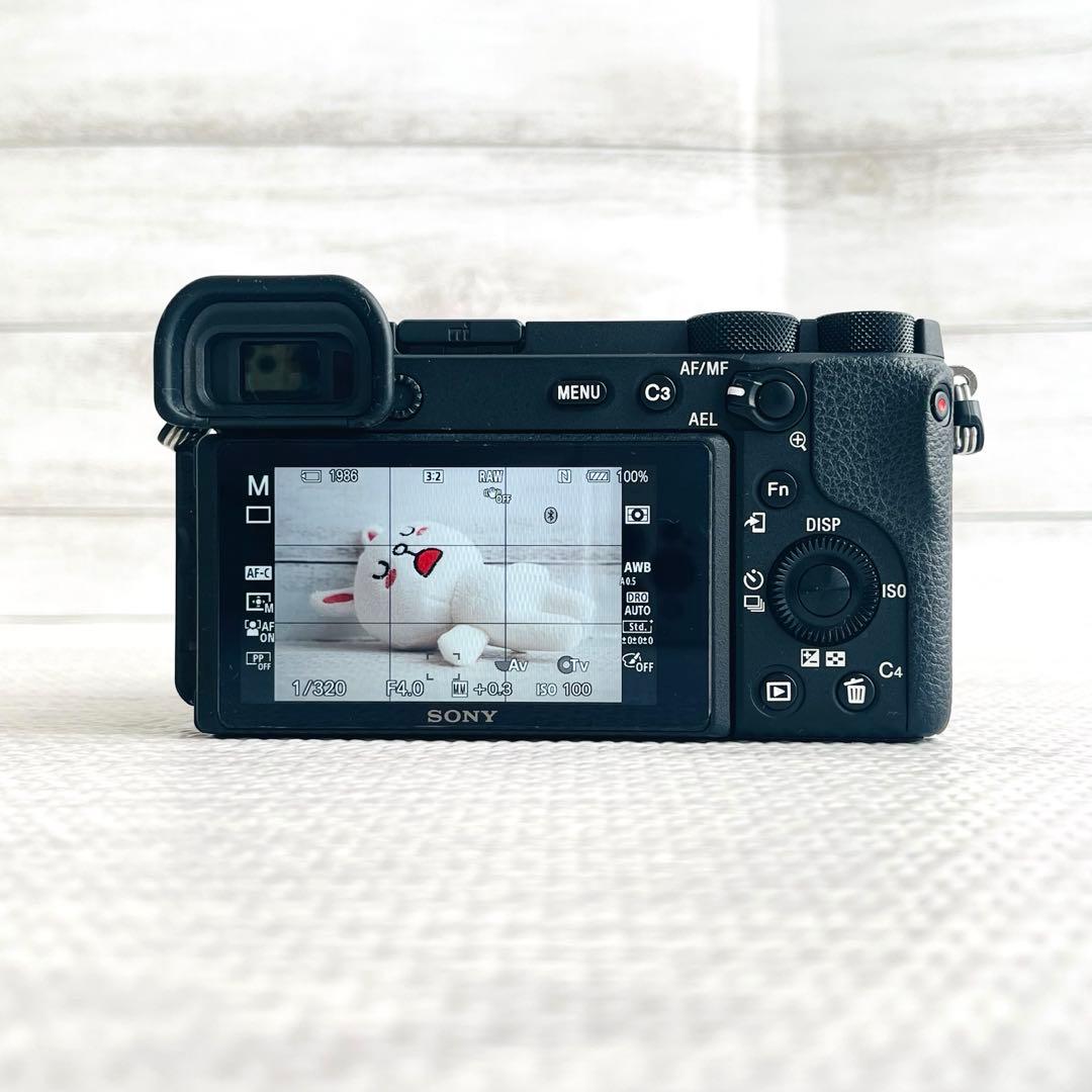 【美品・シャッター5642回】SONY α6600 ボディ ミラーレス一眼カメラ
