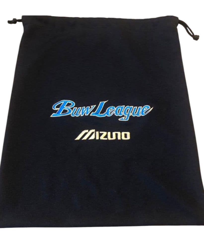 ★美品★　ミズノ　ビューリーグ　硬式　キャッチャーミット