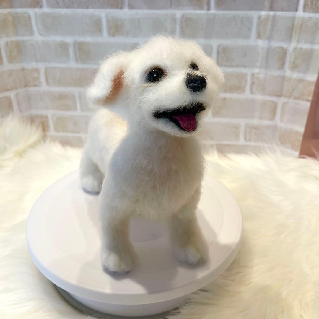 ジ*原様 羊毛フェルト　マルチーズ　momoichigo