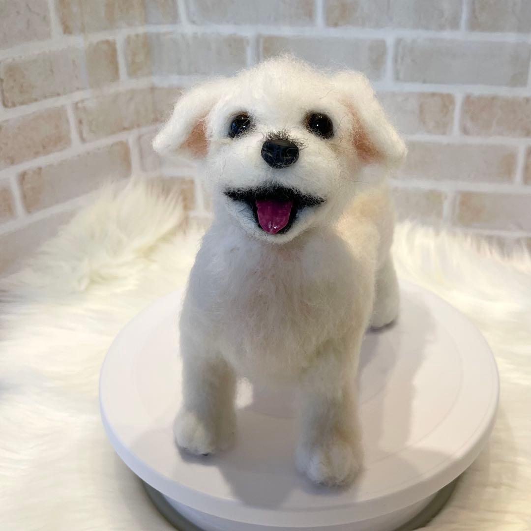 ジ*原様 羊毛フェルト　マルチーズ　momoichigo