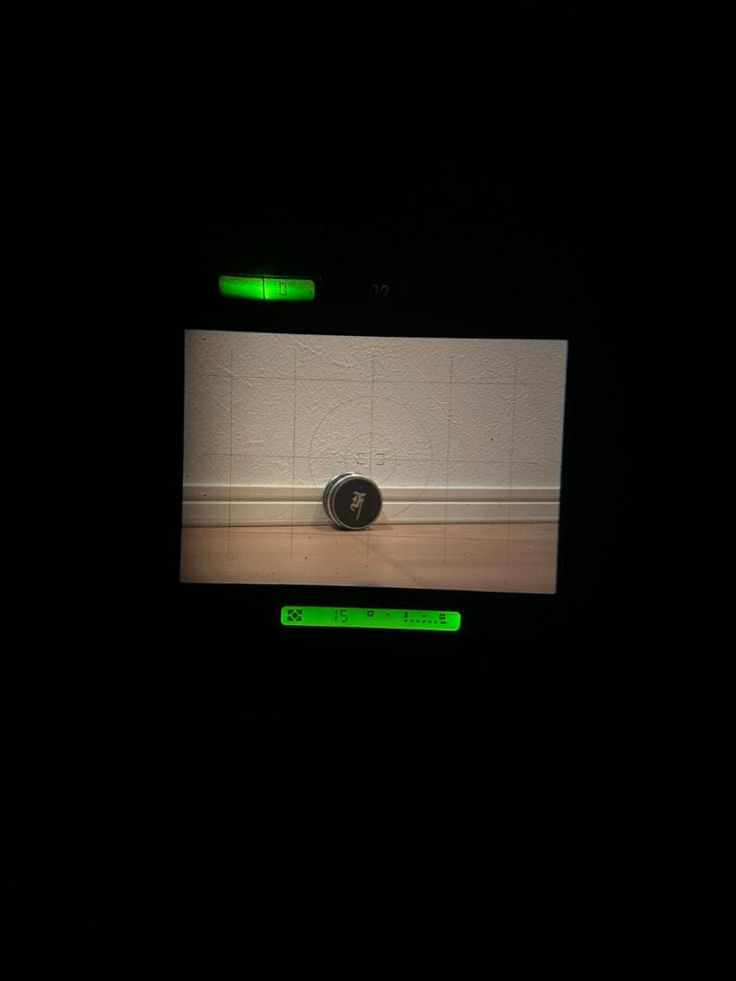 フィルムカメラ Nikon F4S