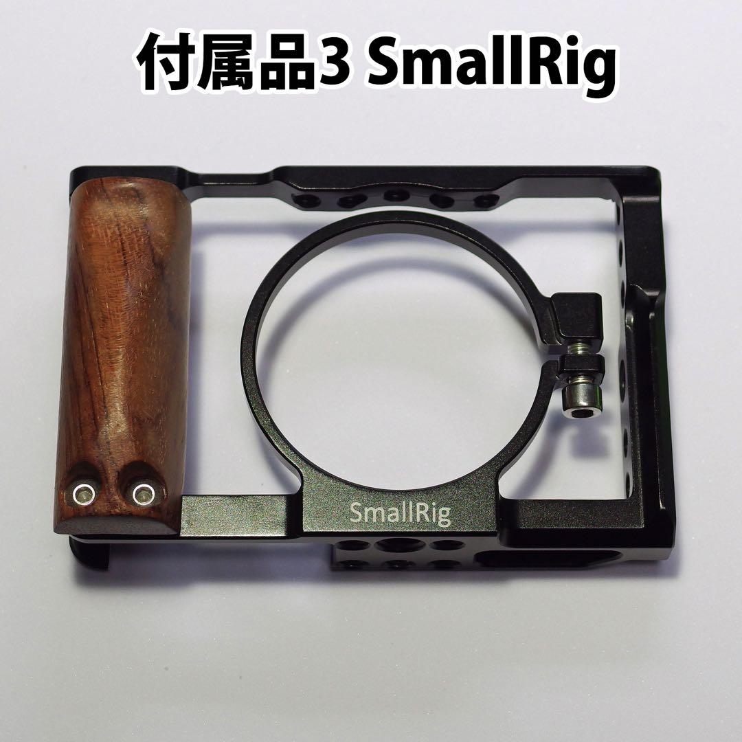 SONY CyberShot DSC-RX100M5A RX100Ⅴ おまけ多数