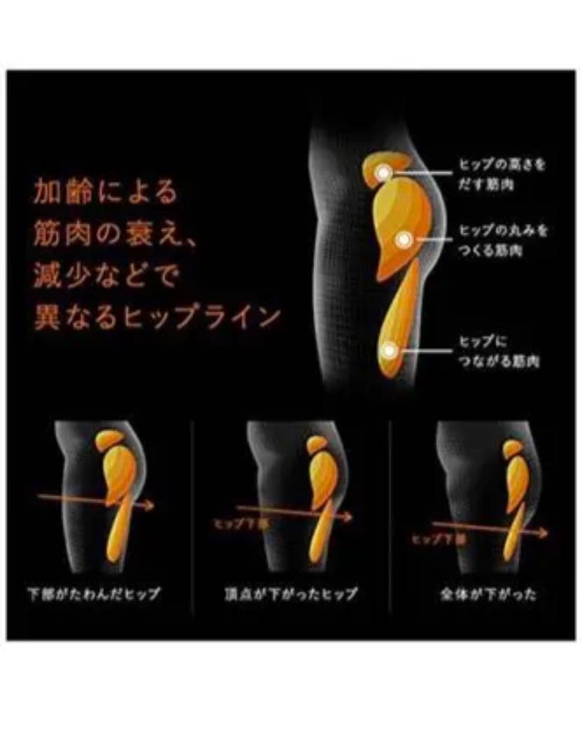 純正品シックスパッド ボトムベルトL