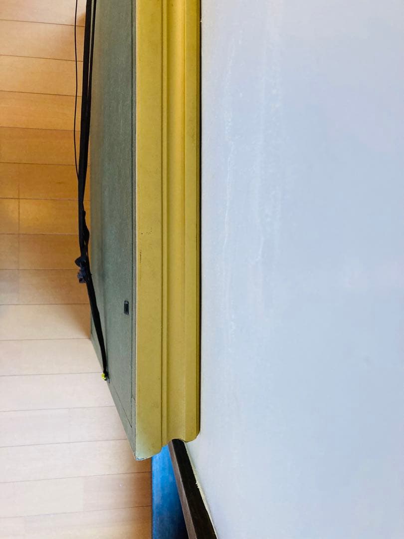 美品【夜桜】大　絵画　苑古作　縁起物