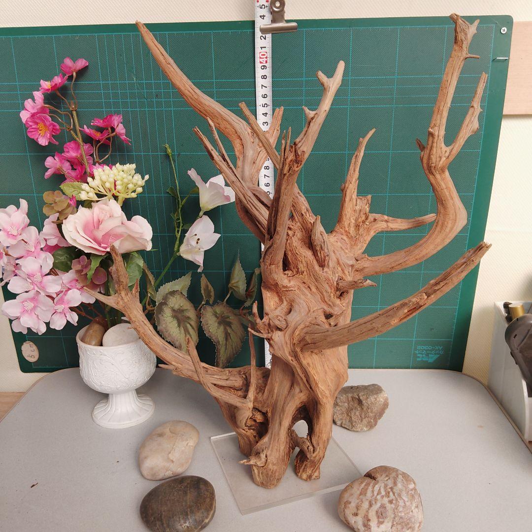 ８３１ホーンウッド灰汁抜き硬質水槽用流木 自然な枝状 約42cm964g