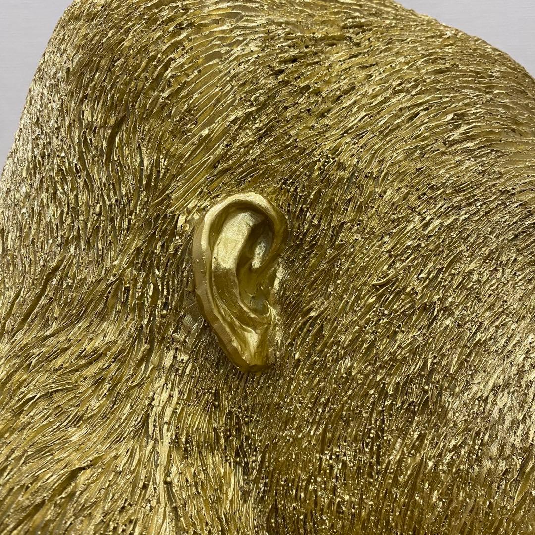 福岡直接受渡⭐️KARE カレ　モンキーゴリラサイド ゴールド XL(E-b)R