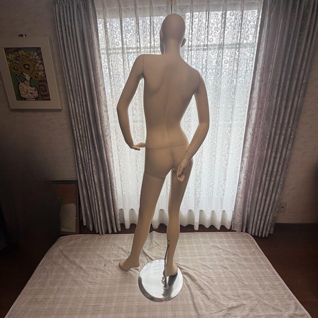 未使用 マネキン トルソー FTX-1-J KUGIMACHI 化粧済み