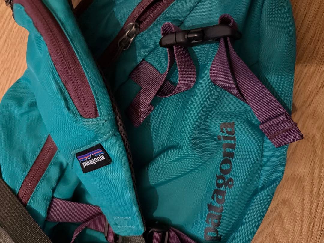 パタゴニア アトムスリングバッグ 廃盤希少品 梨花