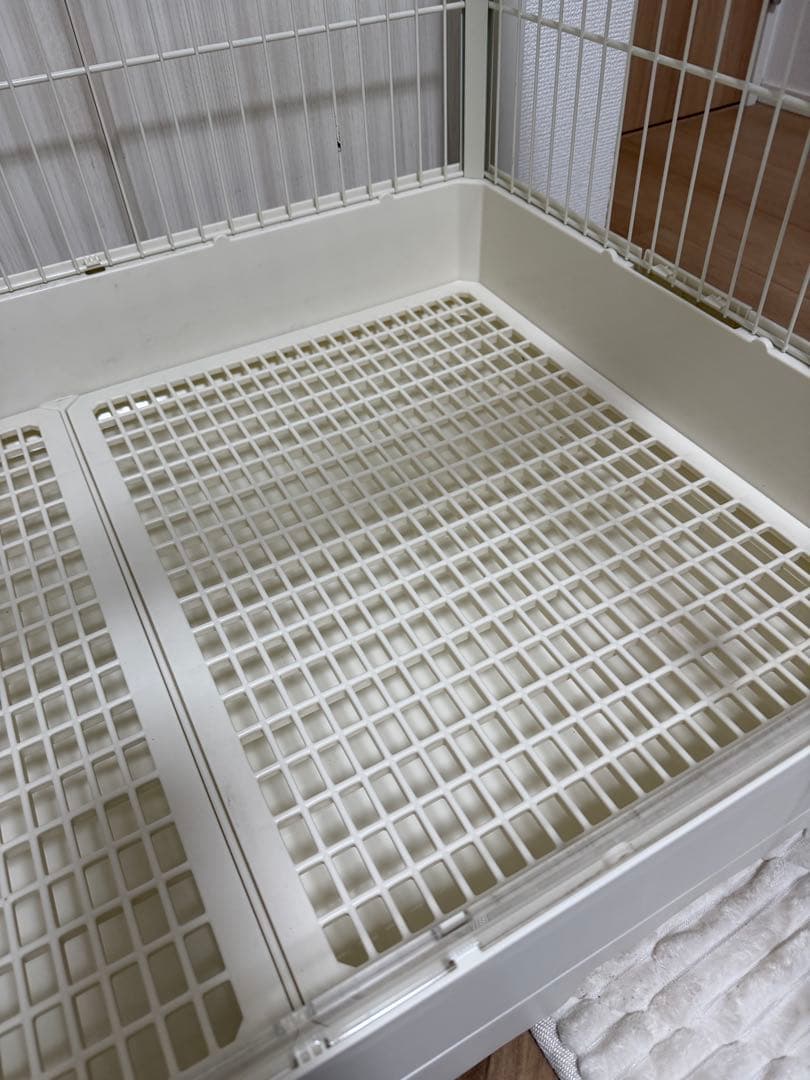 クリアフロント80