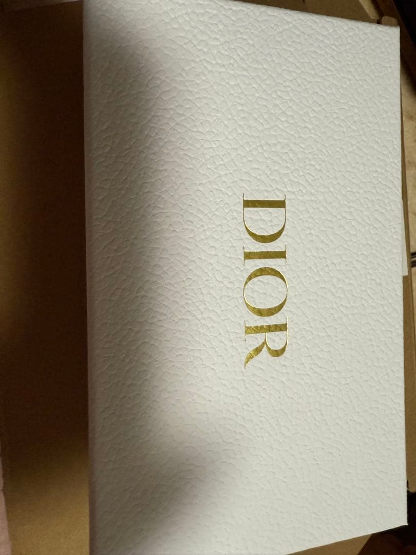 DiorTravel iPhone 16 Pro Max ケース