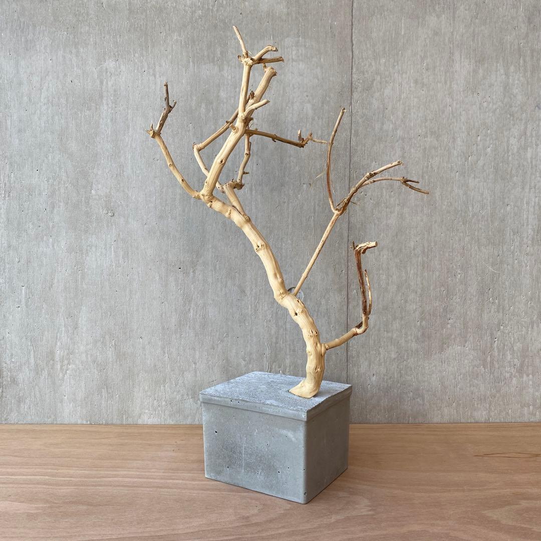 【コンクリート盆栽 流木オブジェ】 アート アクセサリー インテリア 爬虫類