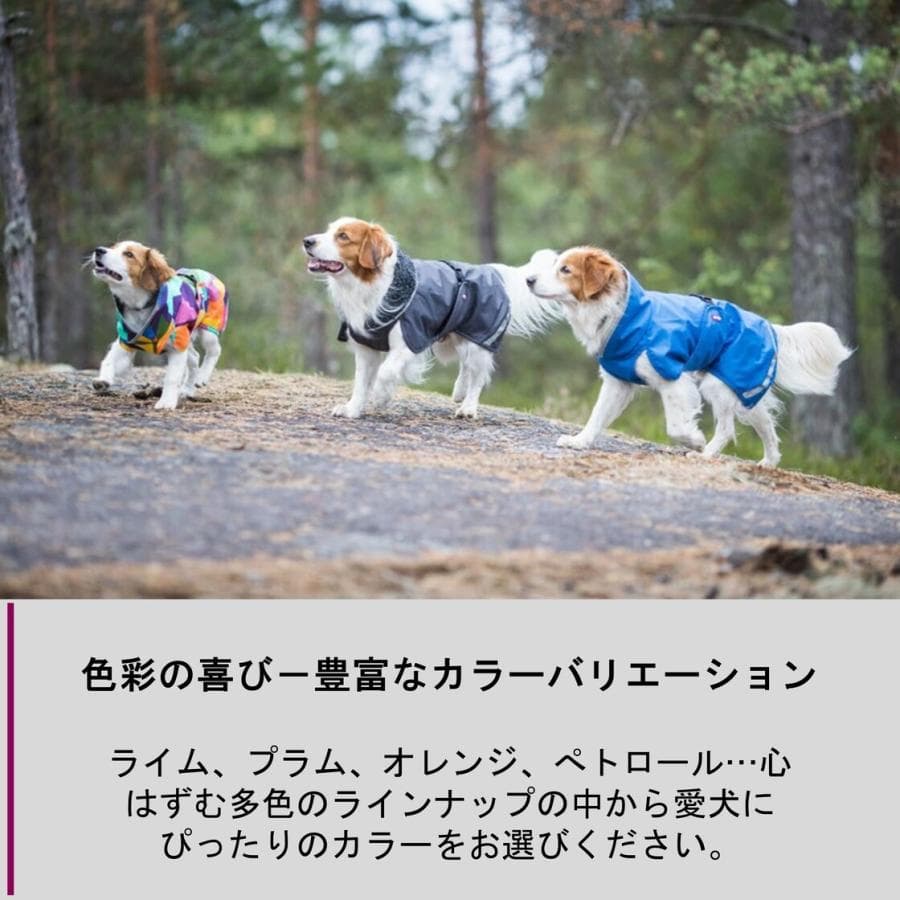 ポムッパ　ペルス　ペトロール　サイズ85