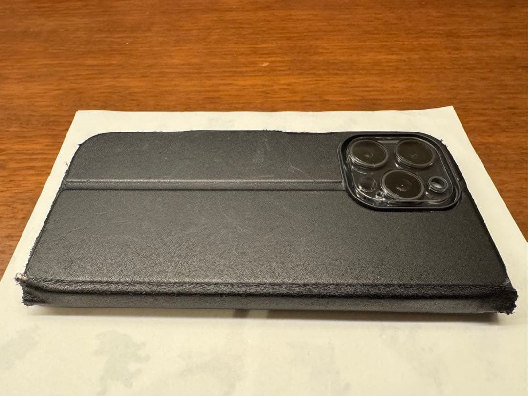 Apple iPhone 15 Pro Max 香港 物理SIM 2枚