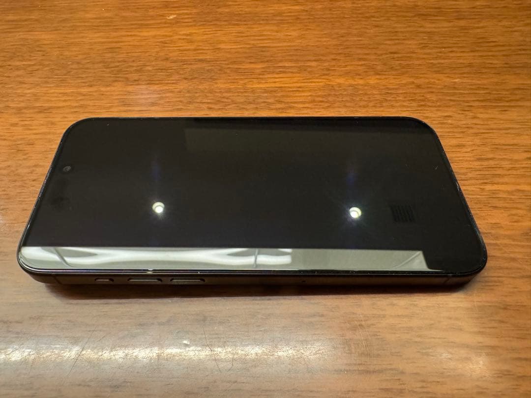 Apple iPhone 15 Pro Max 香港 物理SIM 2枚