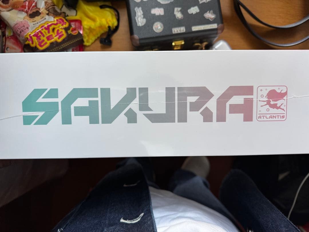 日本未発売AMD Yeston 水着Atlantis RX 9070 XT OC