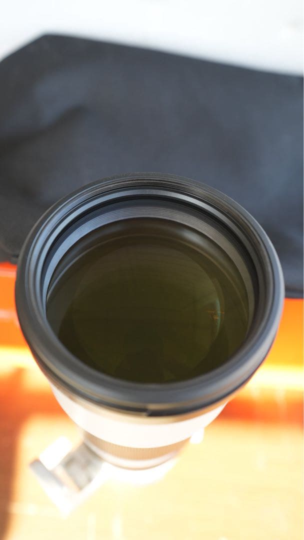 レンズ(ズーム) Sony FE 200-600mm F5.6-6.3 G OSS