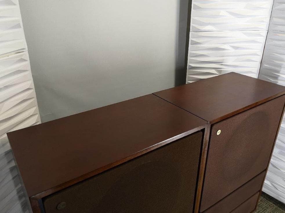 えだひこ TANNOY ARDENエッジ新品 ペア1台目（１本のみ）