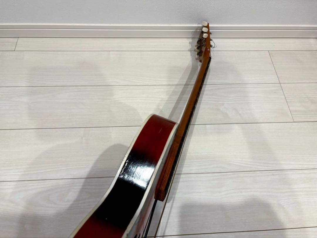 ビザール　アーチトップ　ピックギター　フルアコ　セミアコ　アコースティックギター