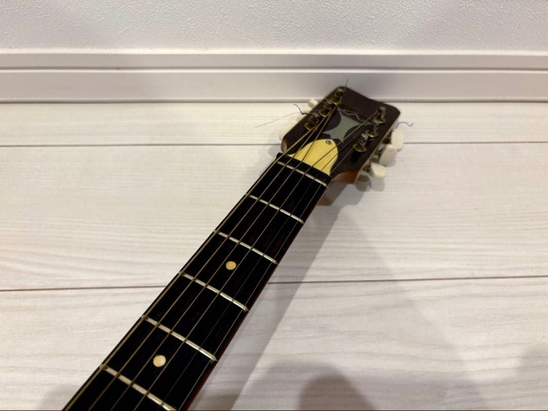 ビザール　アーチトップ　ピックギター　フルアコ　セミアコ　アコースティックギター